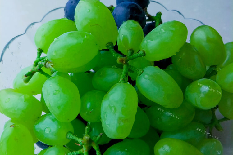 绿色葡萄好好吃啊，日本最贵的绿色葡萄叫什么？