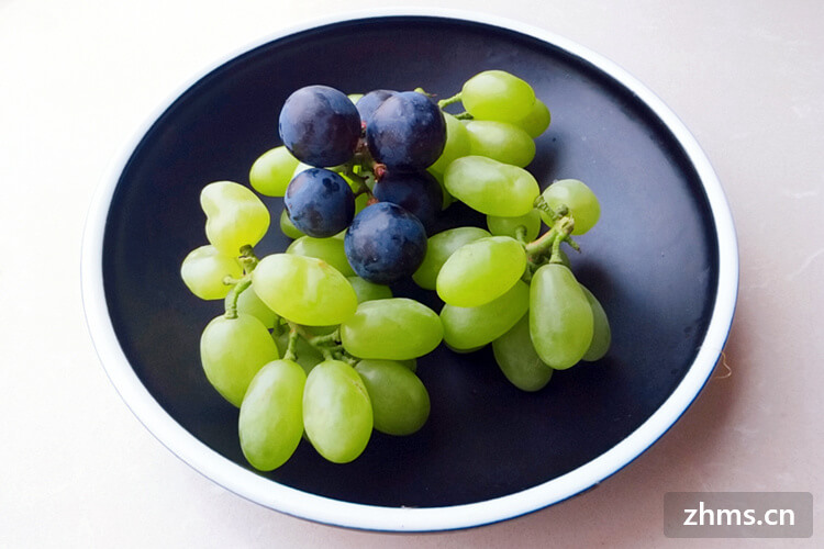 葡萄主要品种有哪些