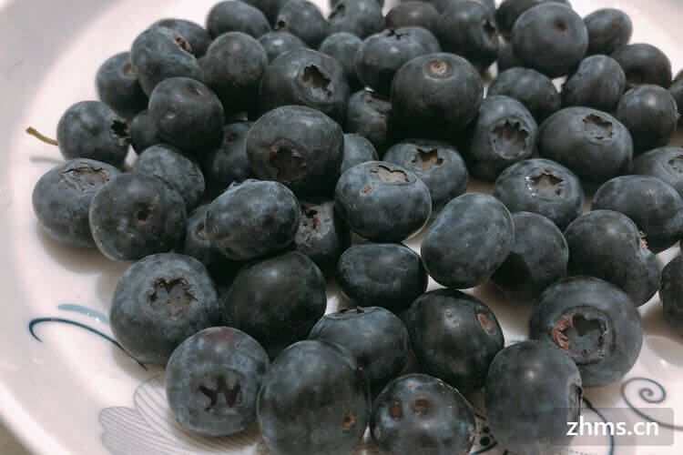蓝莓产地主要在哪个省？蓝莓的食用方法有哪些？