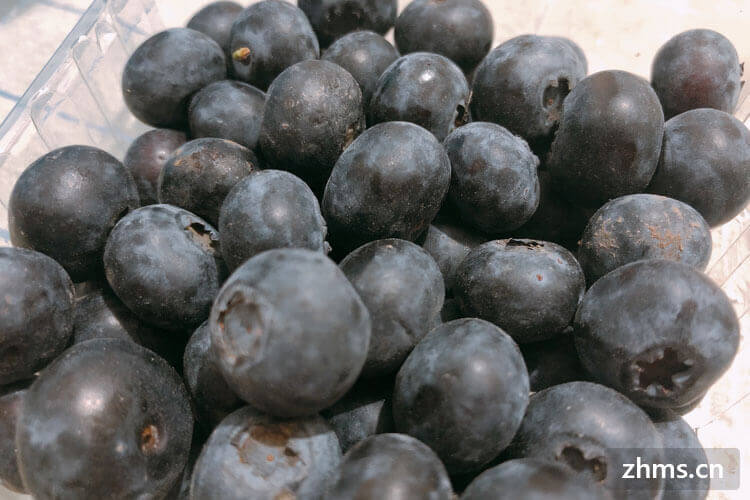 哪里的蓝莓品质最好?蓝莓一天吃多少合适?