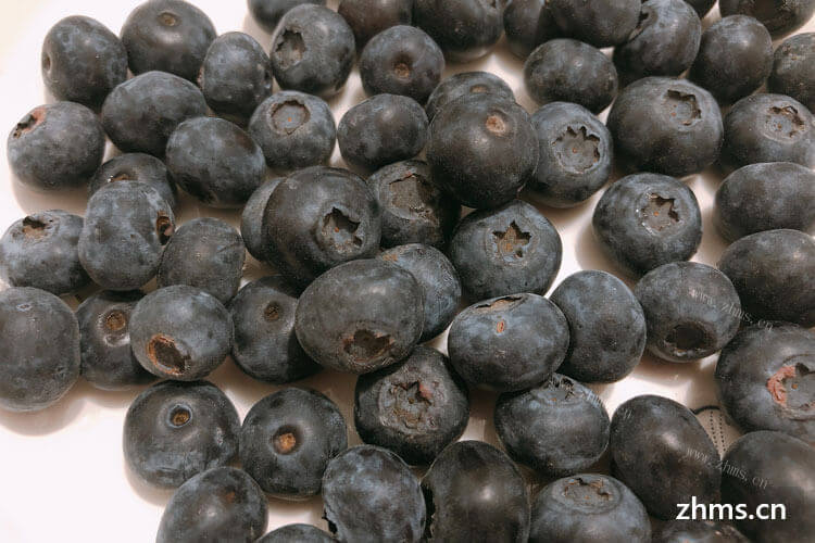 想了解一下蓝莓种苗有几种？所需要的种植环境是怎样的？