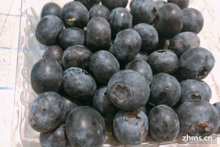 蓝莓酒很香甜，想了解自酿蓝莓酒能存多少年？