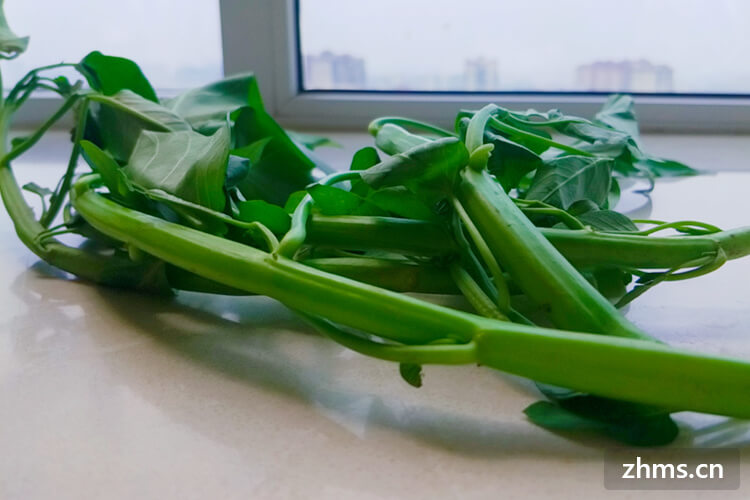 空心菜的茎可以吃吗 空心菜的茎可以吃吗