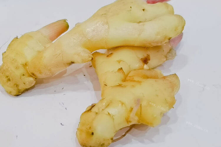 很多人都喜欢吃仔姜炒肉，那小粒生番仔姜是什么？