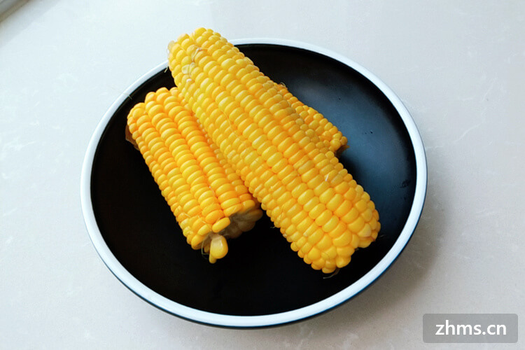 水果玉米冷水下锅煮多久才能熟
