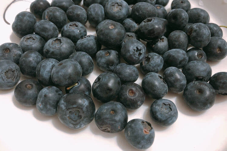 我经常吃蓝莓，什么品种蓝莓盆栽好吃？