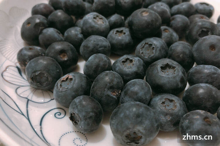 薄雾蓝莓可以吃吗