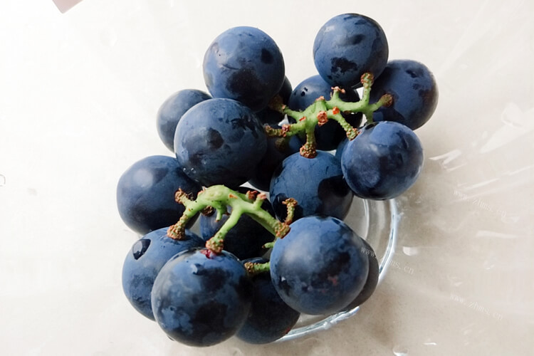 我们平常也吃各种葡萄，品种繁多。日本比较好的葡萄品种又有哪些不同