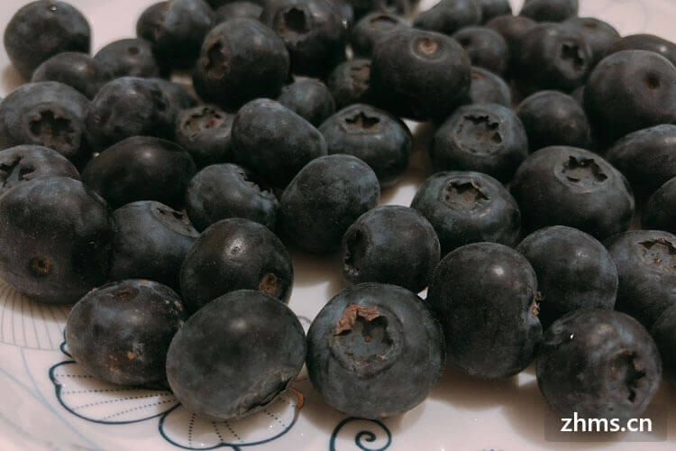 美味多汁的蓝莓怎么种植方法？如何清洗蓝莓？
