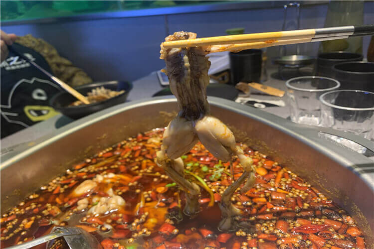 蛙肉比鸡肉鲜嫩很多，很想尝试一下泡椒牛蛙怎么烧
