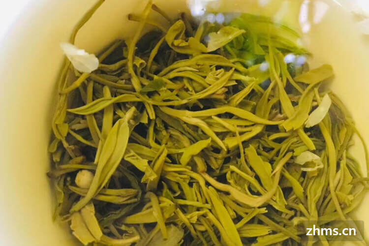 绿茶秋茶的特点，绿茶三季茶中哪一季最好？