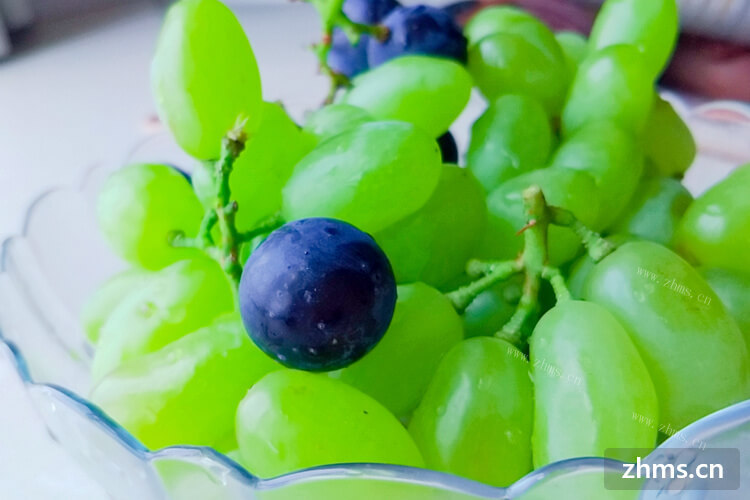 绿色葡萄品种有哪些呢？和巨峰葡萄比起来哪个好吃呢？