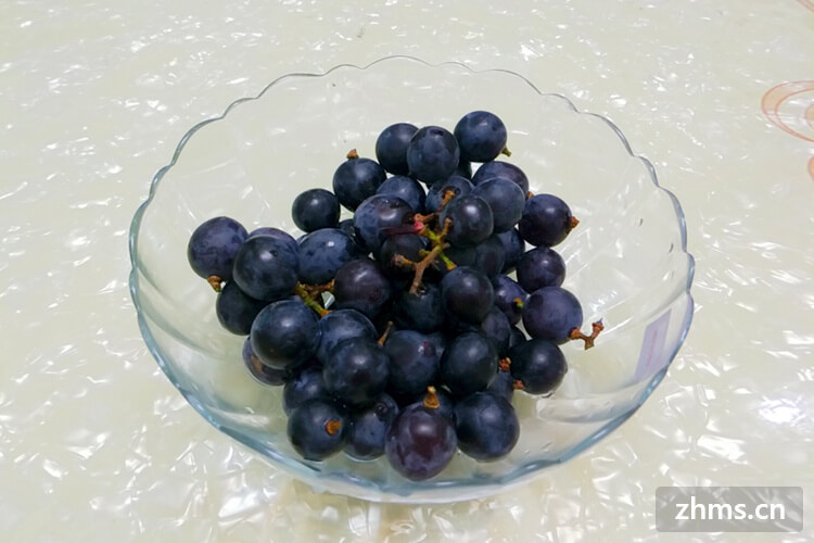 山葡萄品种有哪些