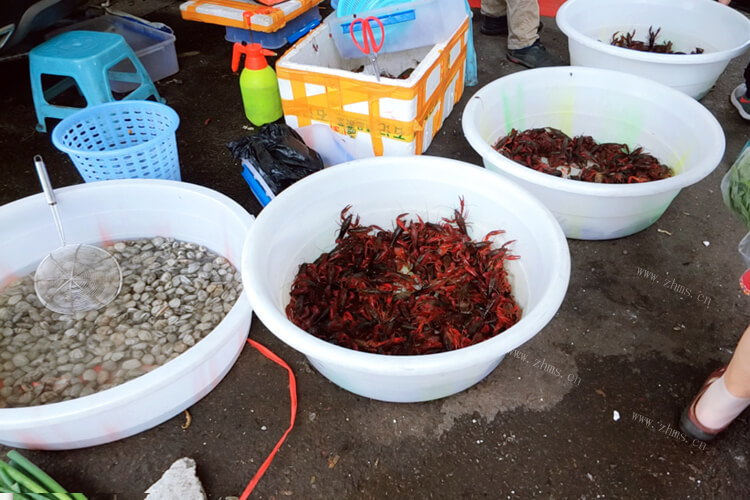 龙虾养殖大棚成本多少钱，品质怎么样？