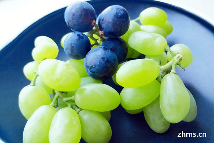 葡萄的种类都有哪些