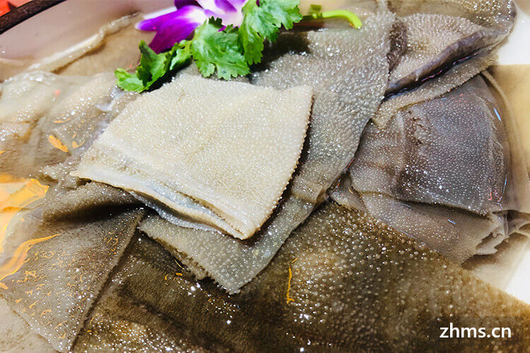 鲜毛肚和水发毛肚区别有哪些 鲜毛肚和水发毛肚区别有哪些