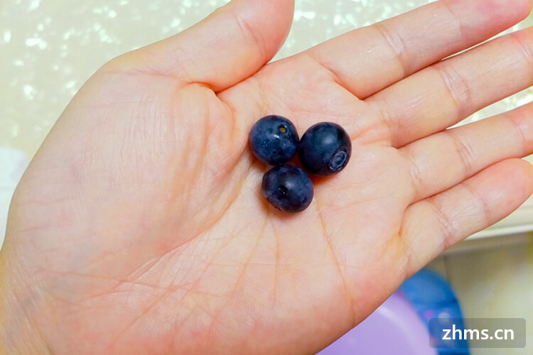 怎么种植蓝莓