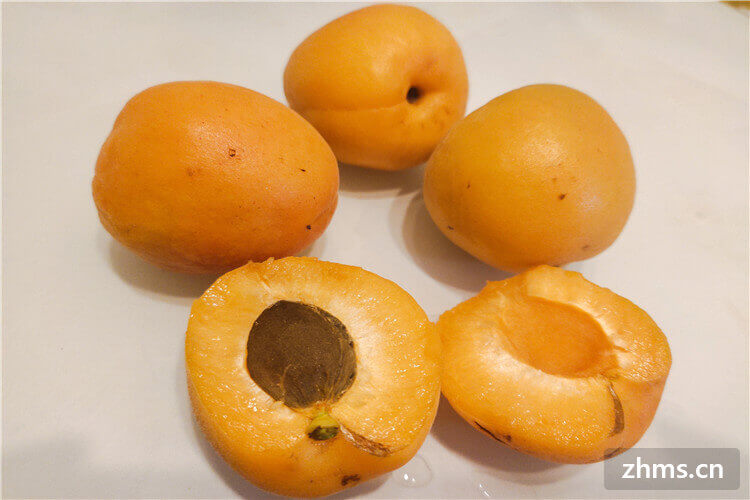 杏子的英文是什么？杏子有哪些种类？