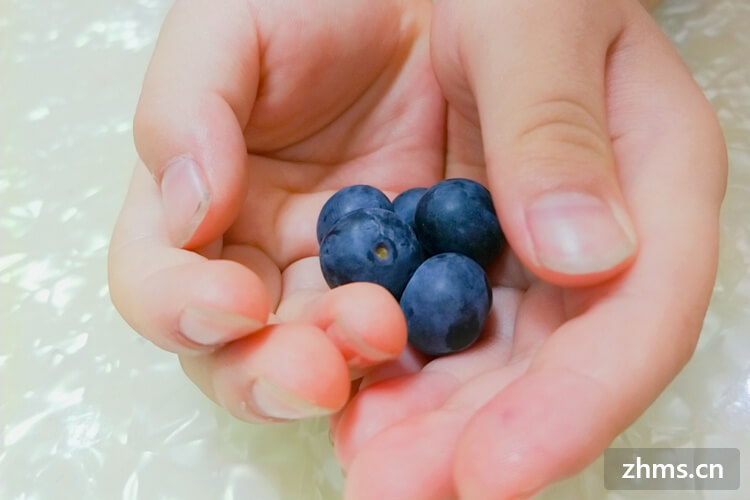 蓝莓冷藏好还是冷冻好？