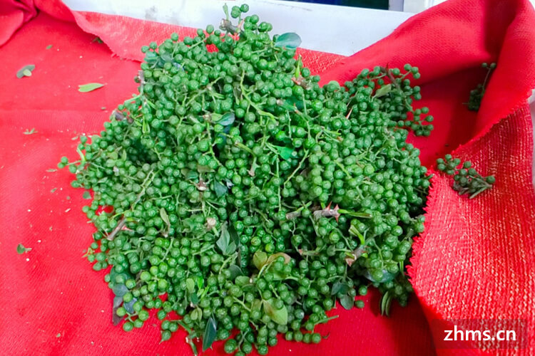 青花椒和麻椒—样吗?麻椒食用禁忌? 青花椒和麻椒—样吗?麻椒食用禁忌?