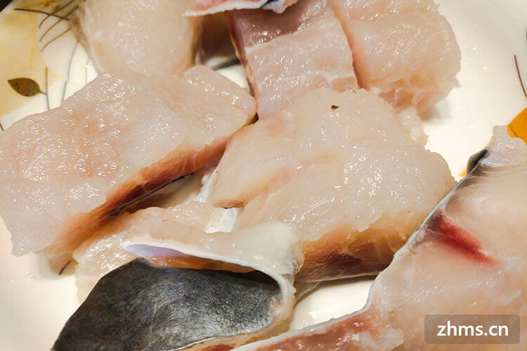 龙利鱼和巴沙鱼价格相差多少 龙利鱼的营养价值有哪些 九州醉餐饮网