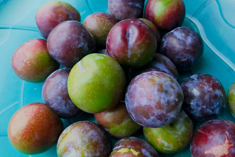 做果子酒，李子有一股酒味正常吗？