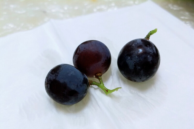 葡萄很好吃，想知道日本引进葡萄品种有什么？