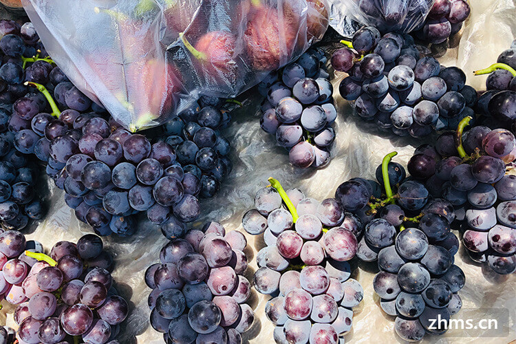 夏黑葡萄多少钱一斤现在市场价