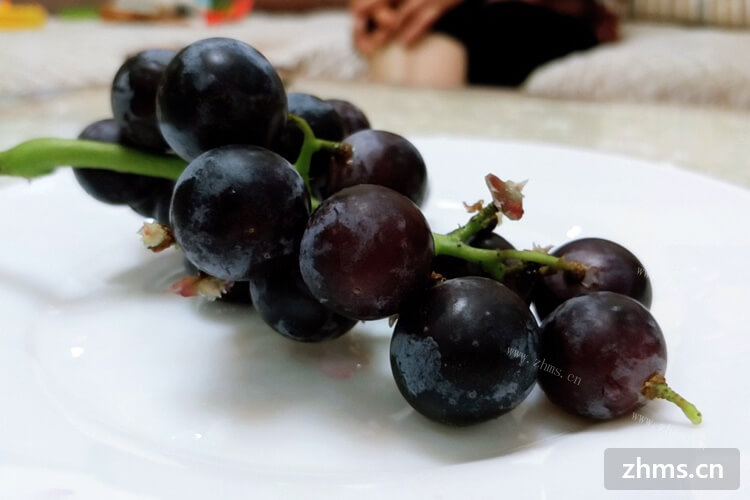 我个人是很喜欢吃葡萄的，但是我不知道葡萄哪种品种好吃呢？