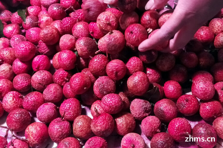 常见的越南荔枝品种是什么