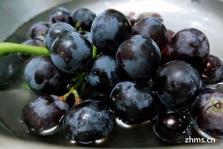 常见的红葡萄品种
