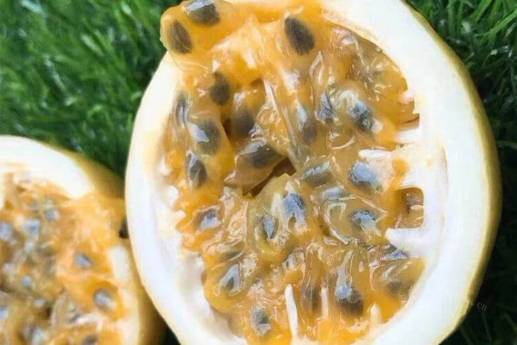 夏天适合吃水果喝果汁，百香果和火龙果榨汁好喝