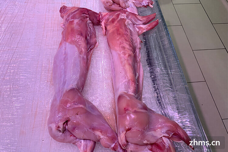兔肉怎么去腥味 兔肉怎么去腥味
