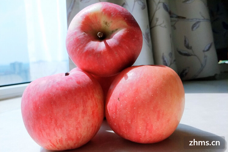 苹果品种大全中早熟苹果有哪些