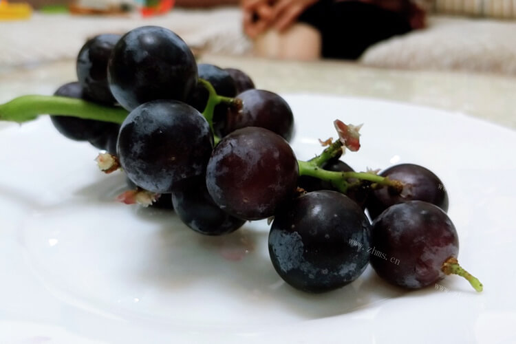 葡萄也太好吃了吧，葡萄一共有多少种品种？
