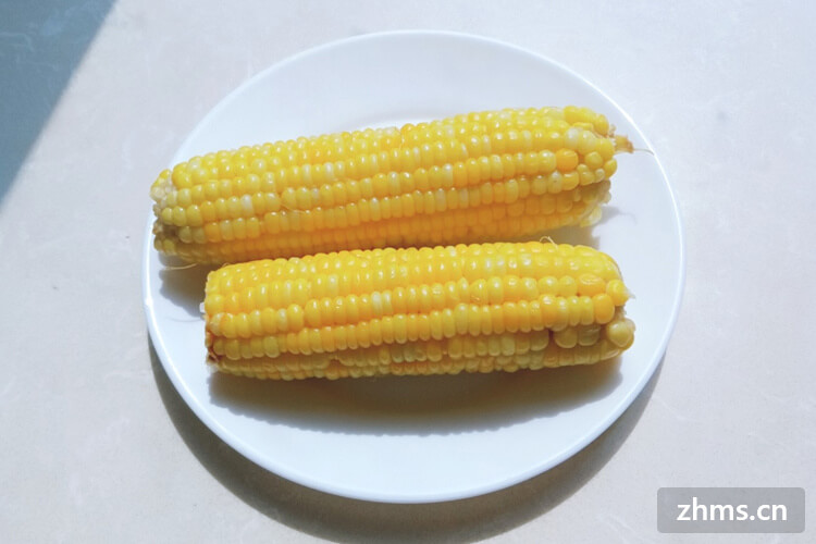 什么玉米最好吃