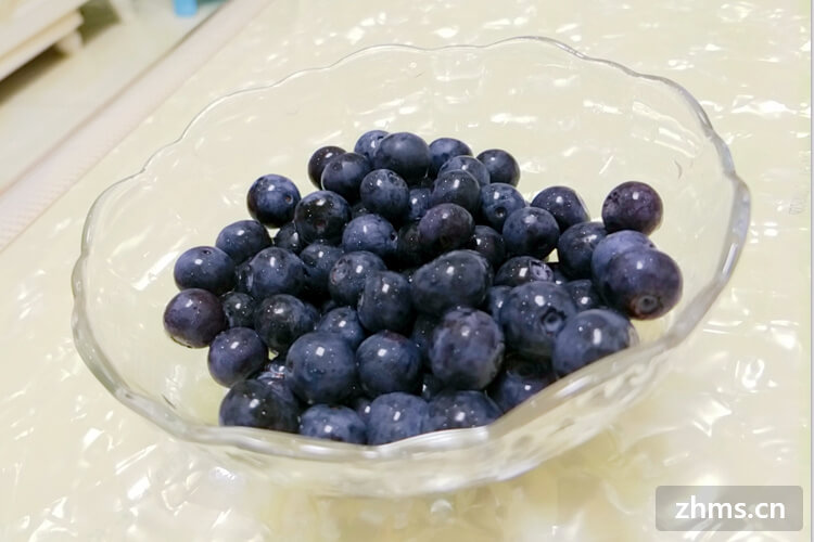 蓝莓产地原产地在哪？蓝莓可以制成其他哪些成品？