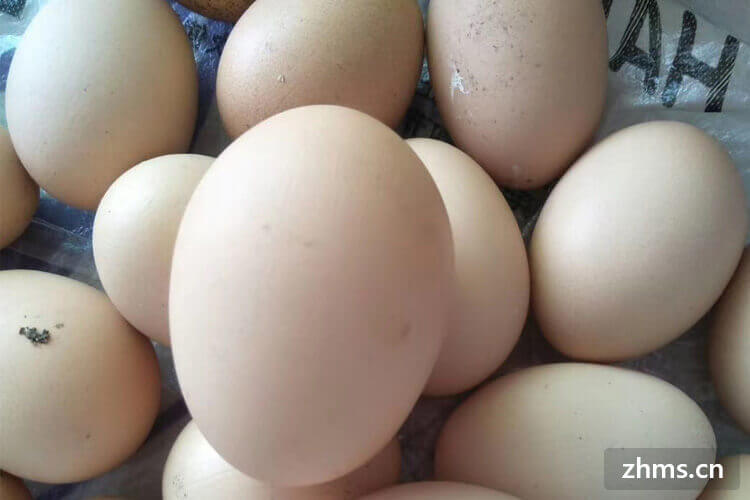 煮熟鸡蛋要多久能煮熟