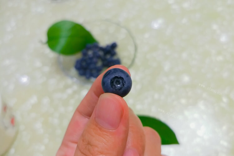 一直都比较喜欢吃葡萄，夏黑葡萄和蓝莓葡萄哪个口感好？