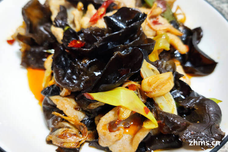 能不能说一些素食连锁？比较好就是能够在广州经营的