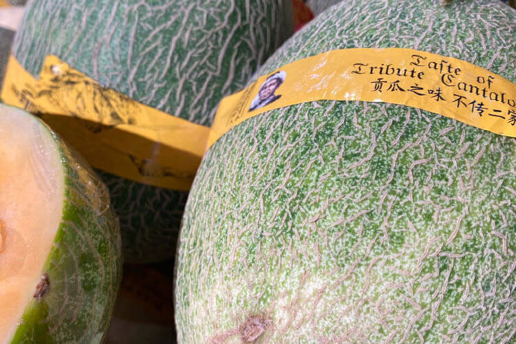 黄金蜜瓜和哈密瓜哪个甜？不知道选择哪一个好吃