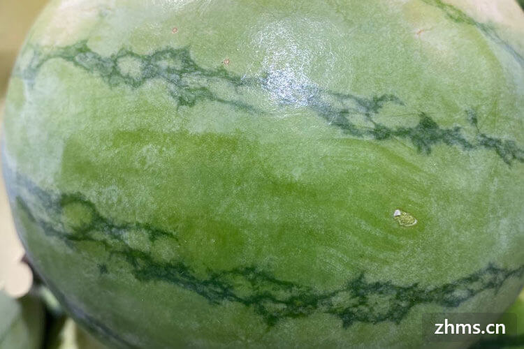 西瓜不是春天的水果吗