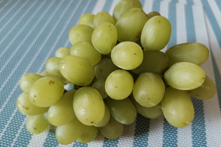 感觉提子跟葡萄长得好像，提子与葡萄的区别有什么呢？