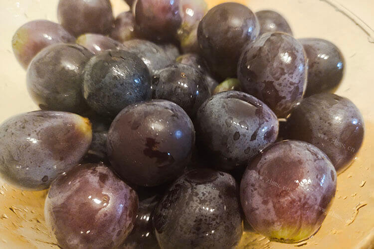 屋头的种类很多，请问山葡萄是野葡萄吗？