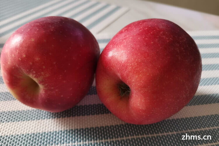 脆甜的苹果有什么品种