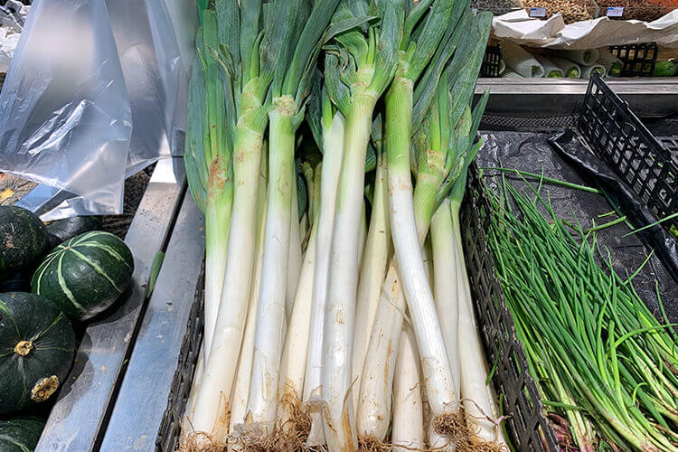 在冬天能种植大葱吗，过冬的大葱什么时候种？