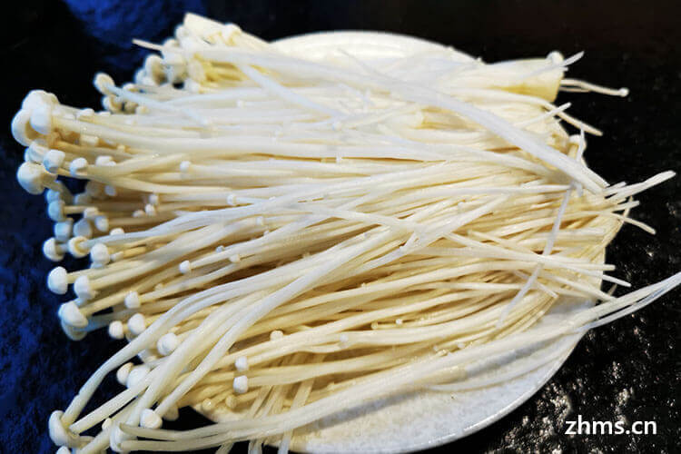 银针菇和金针菇哪个好 银针菇和金针菇哪个好