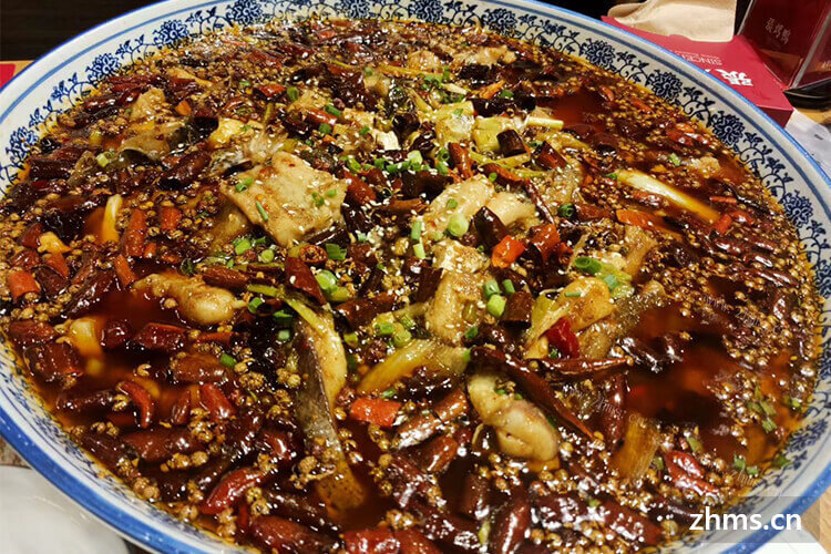 费大厨的生意怎么样？加盟条件需要多少？