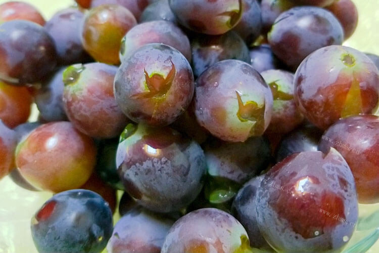 我买了一大串葡萄放在家里面，突然想问葡萄属不属于果实呢？