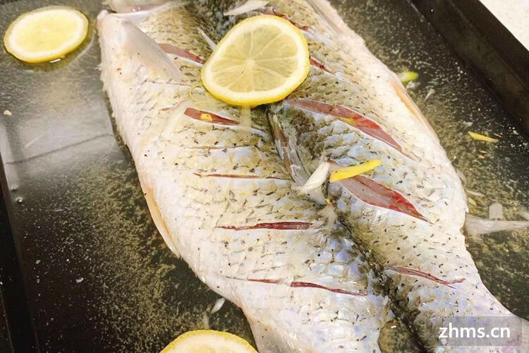 鲢鱼有几种 鲢鱼有几种